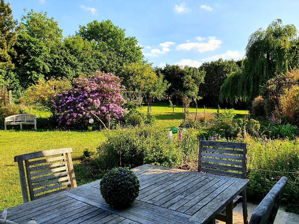 Kolokacja Incourt 161263