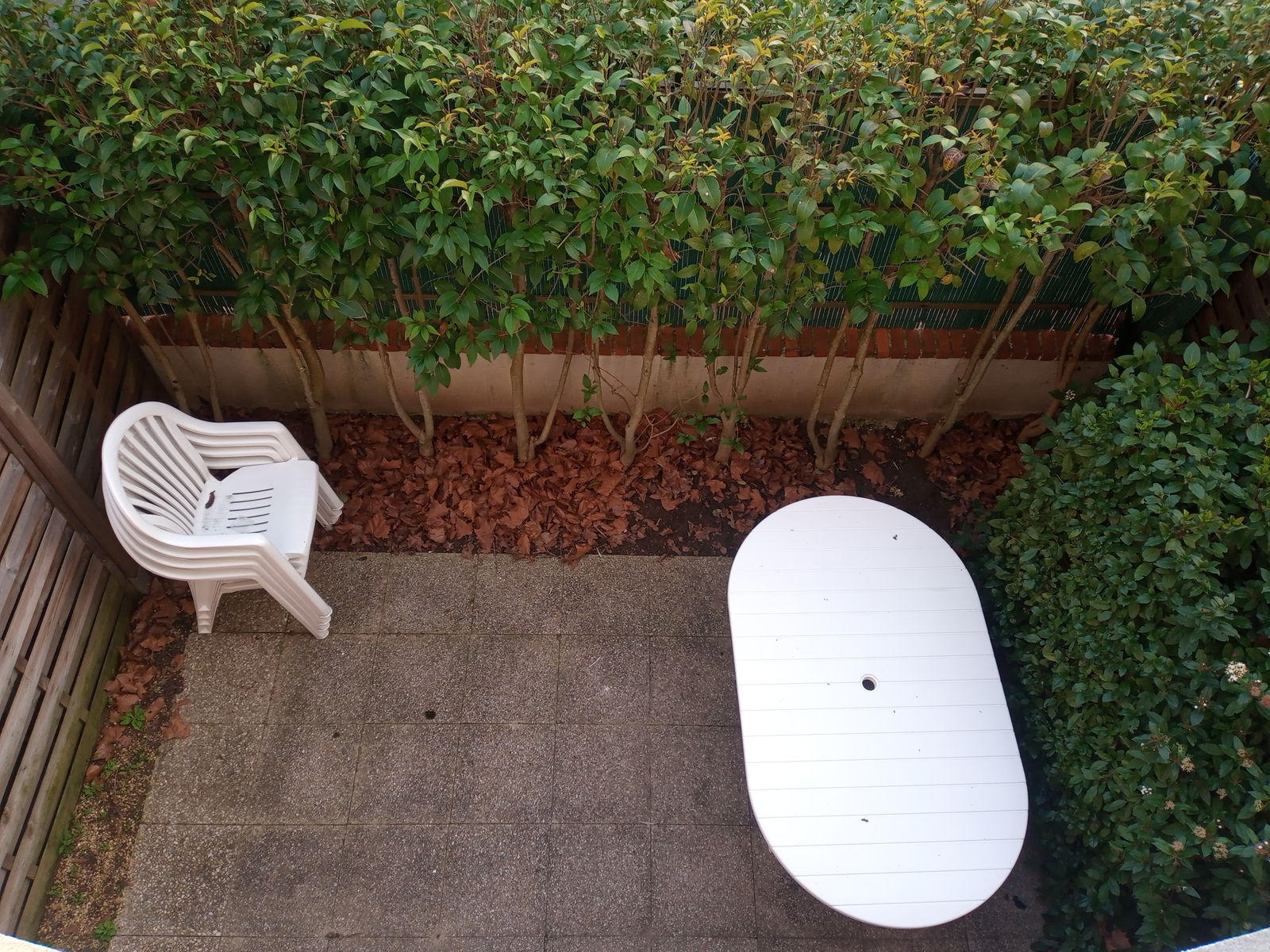 Kolokation Orléans 264041