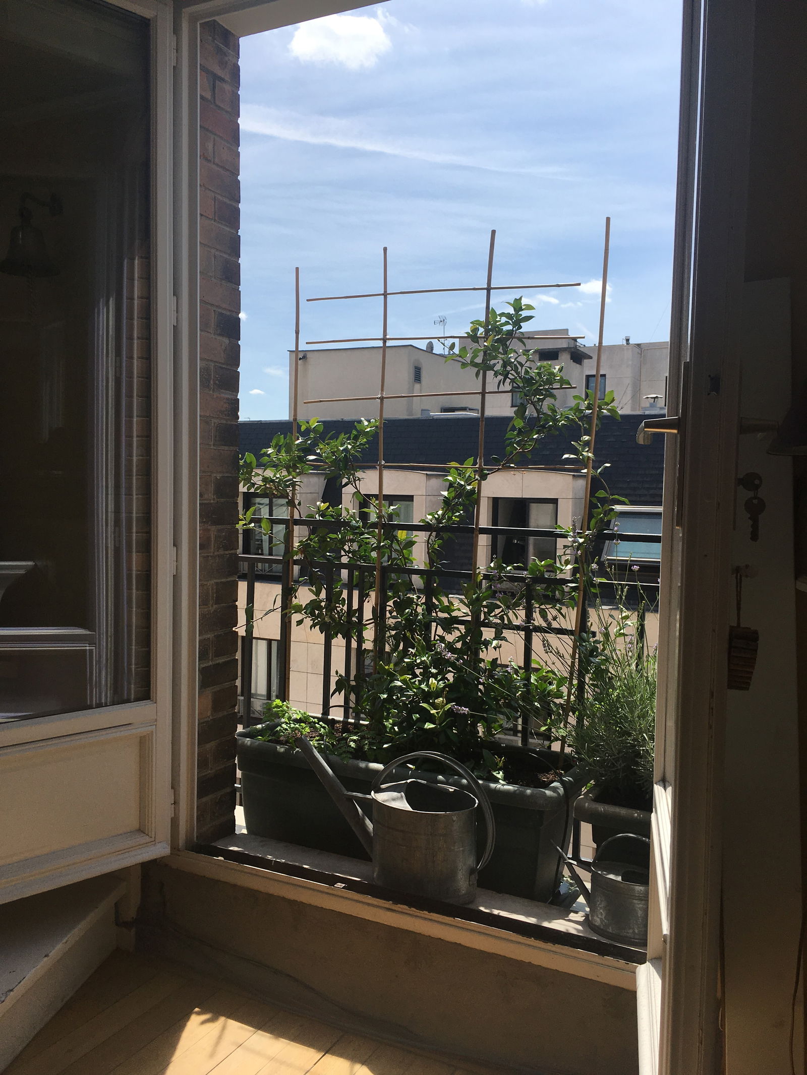 Gastfamilie Levallois-Perret 258478