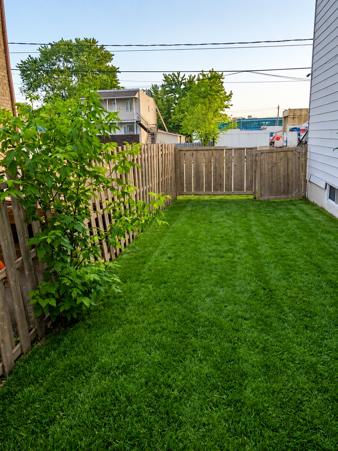 Coliving Longueuil 678061