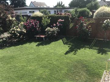 Chambre Chez L'habitant Berlin 267322-10