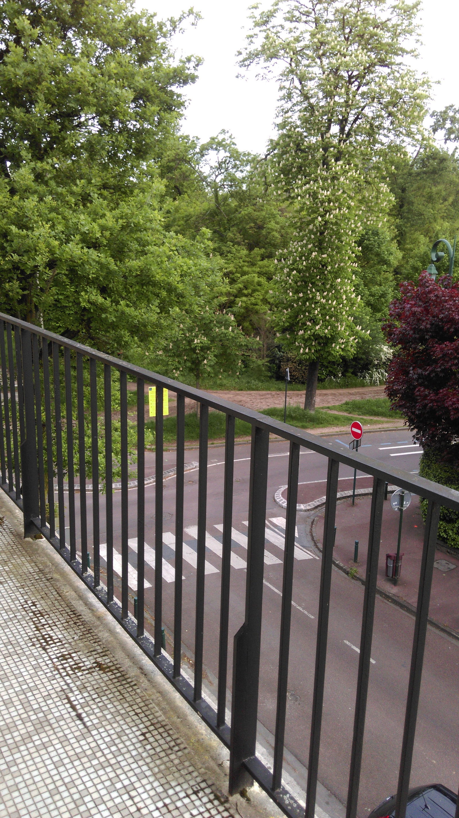 Gastfamilie Nogent-sur-Marne 182983