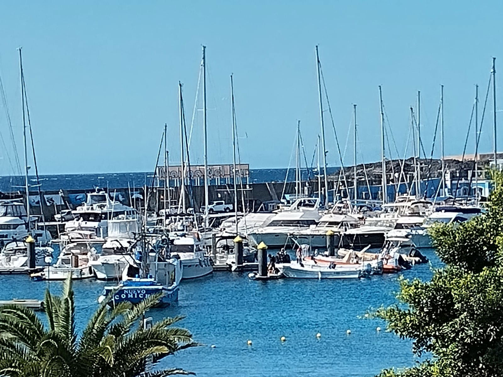 Gastfamilie Arona 262709