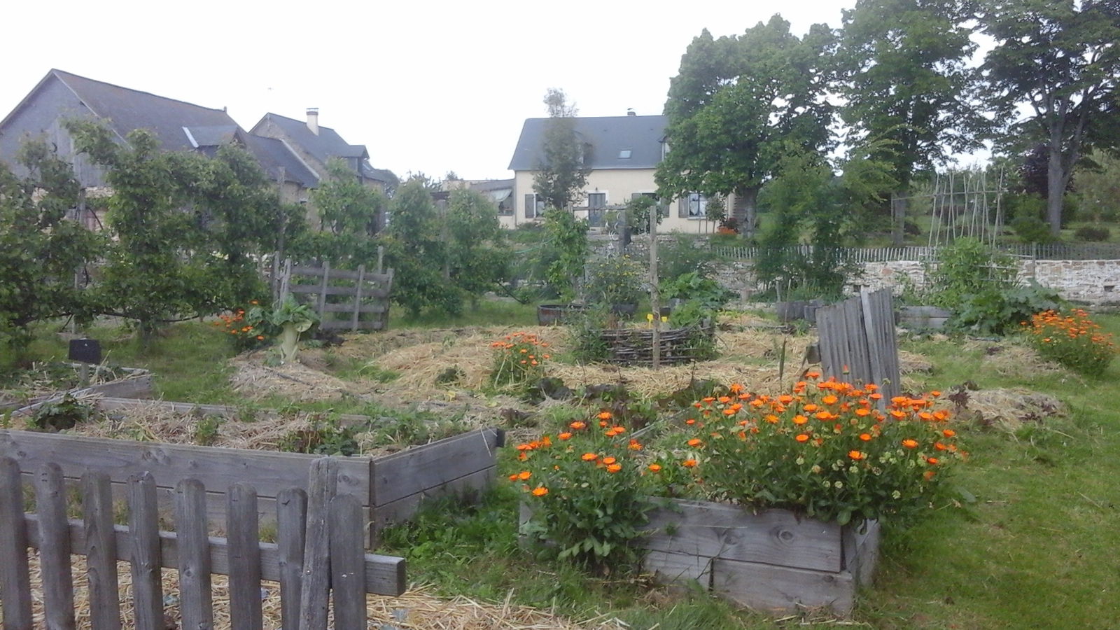 Gastfamilie Louvaines 231896