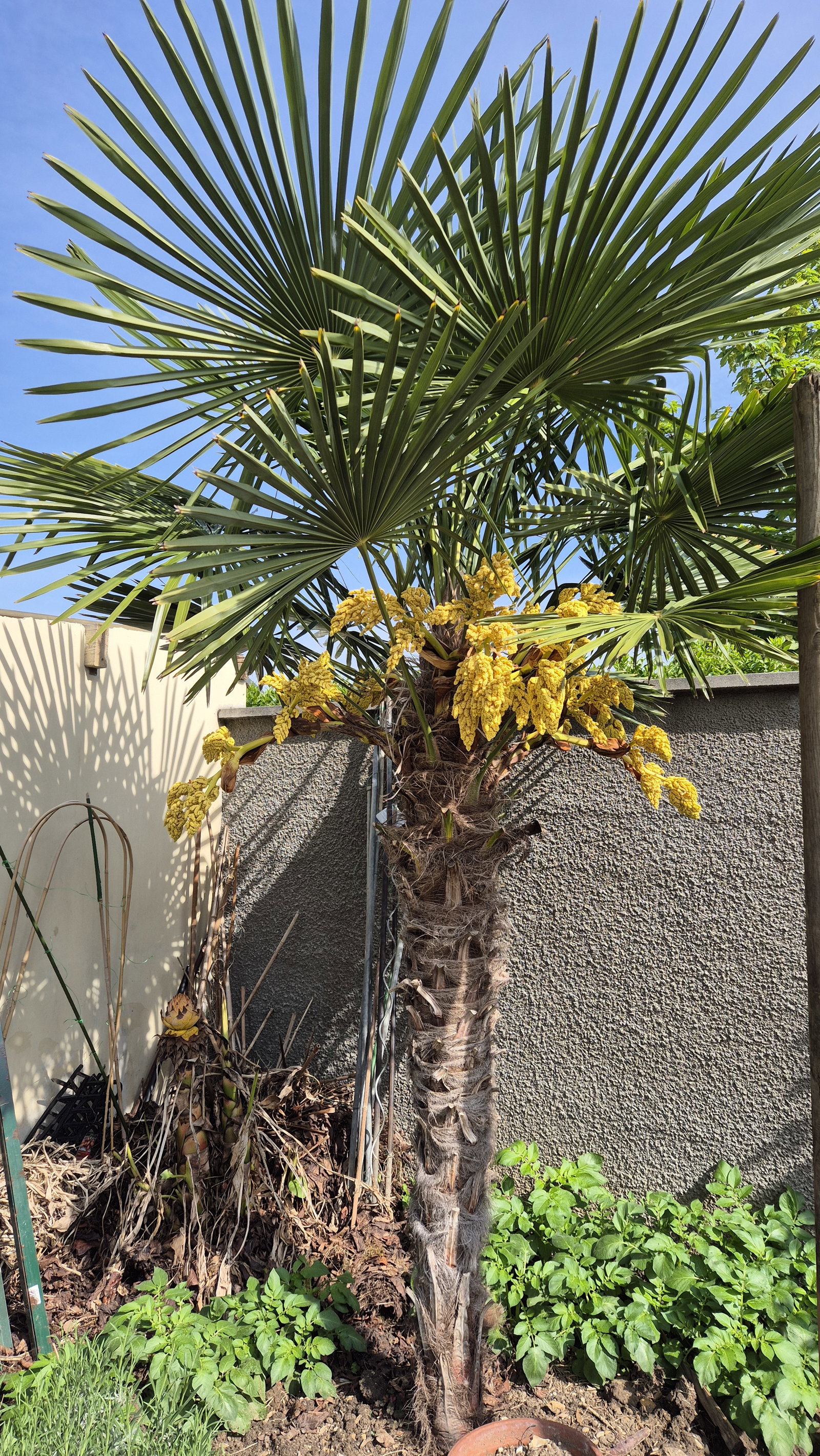 Gastfamilie Champigny-sur-Marne 662800