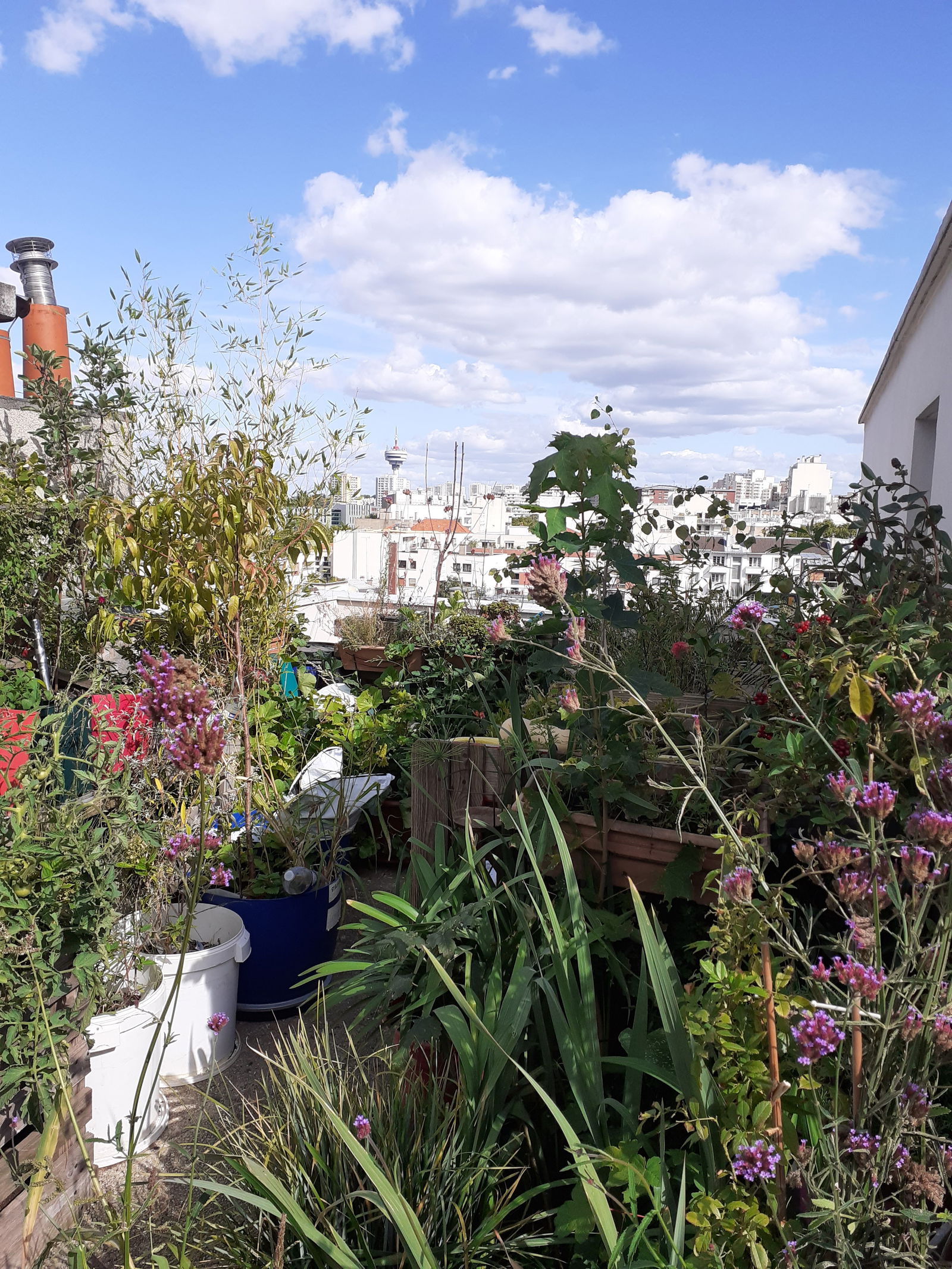 Gastfamilie Paris 334914