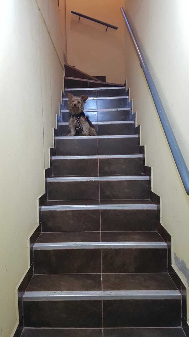 Gastfamilie Cercado de Lima 218547