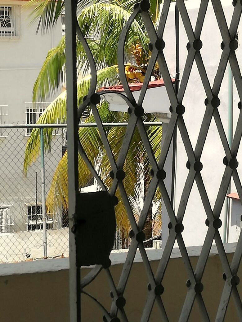 Chambre Chez L'habitant La Habana 158485