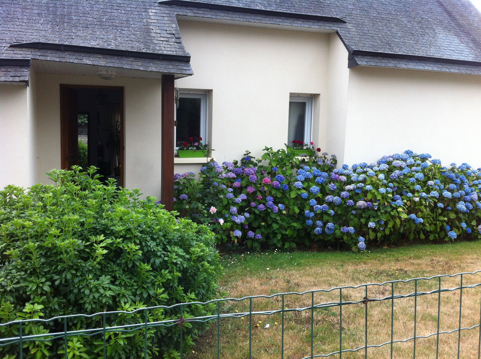 Gastfamilie Vannes 321511