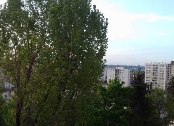 Gastfamilie Villeurbanne 260877