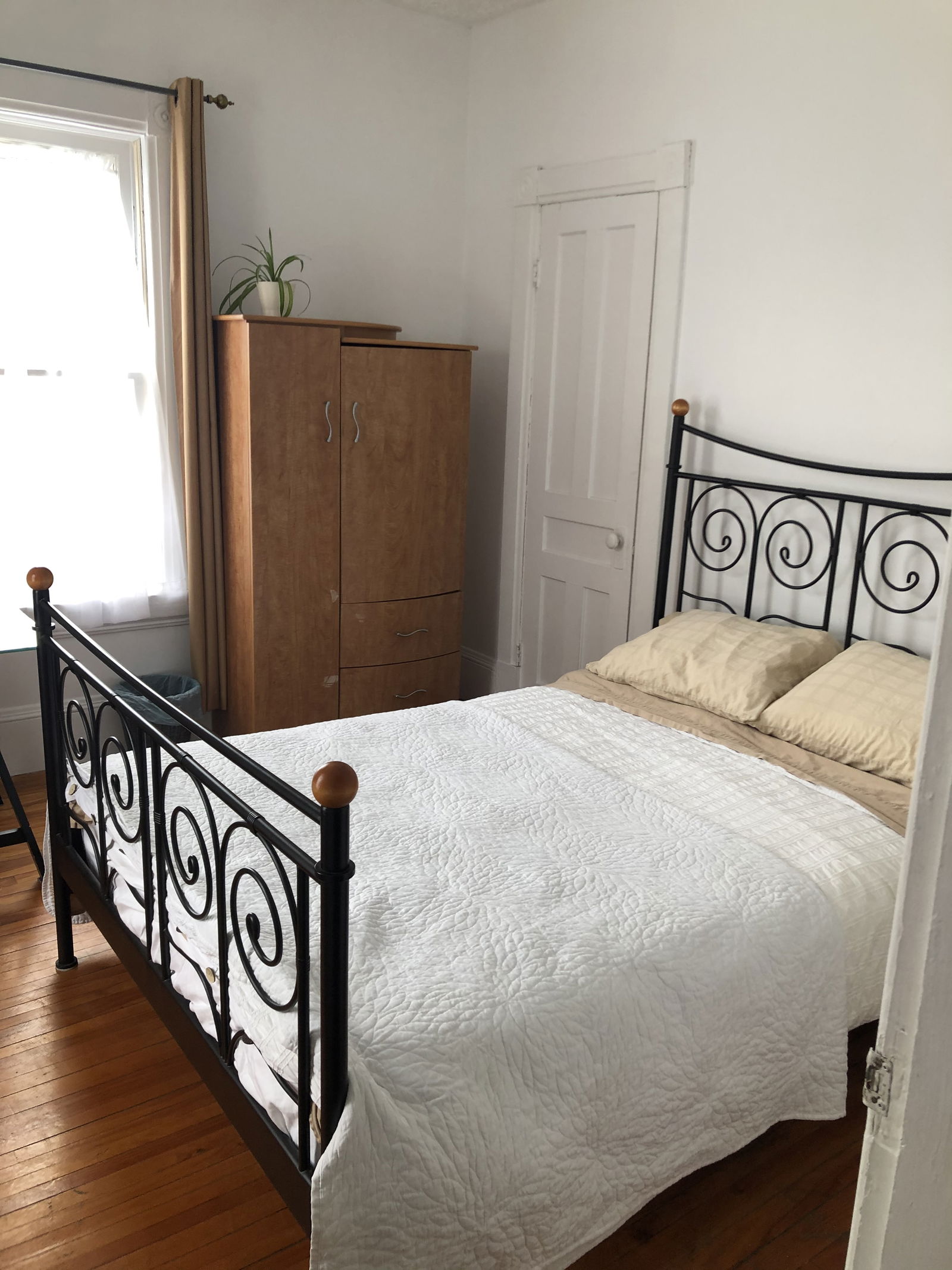 Kolokation Sherbrooke 636344