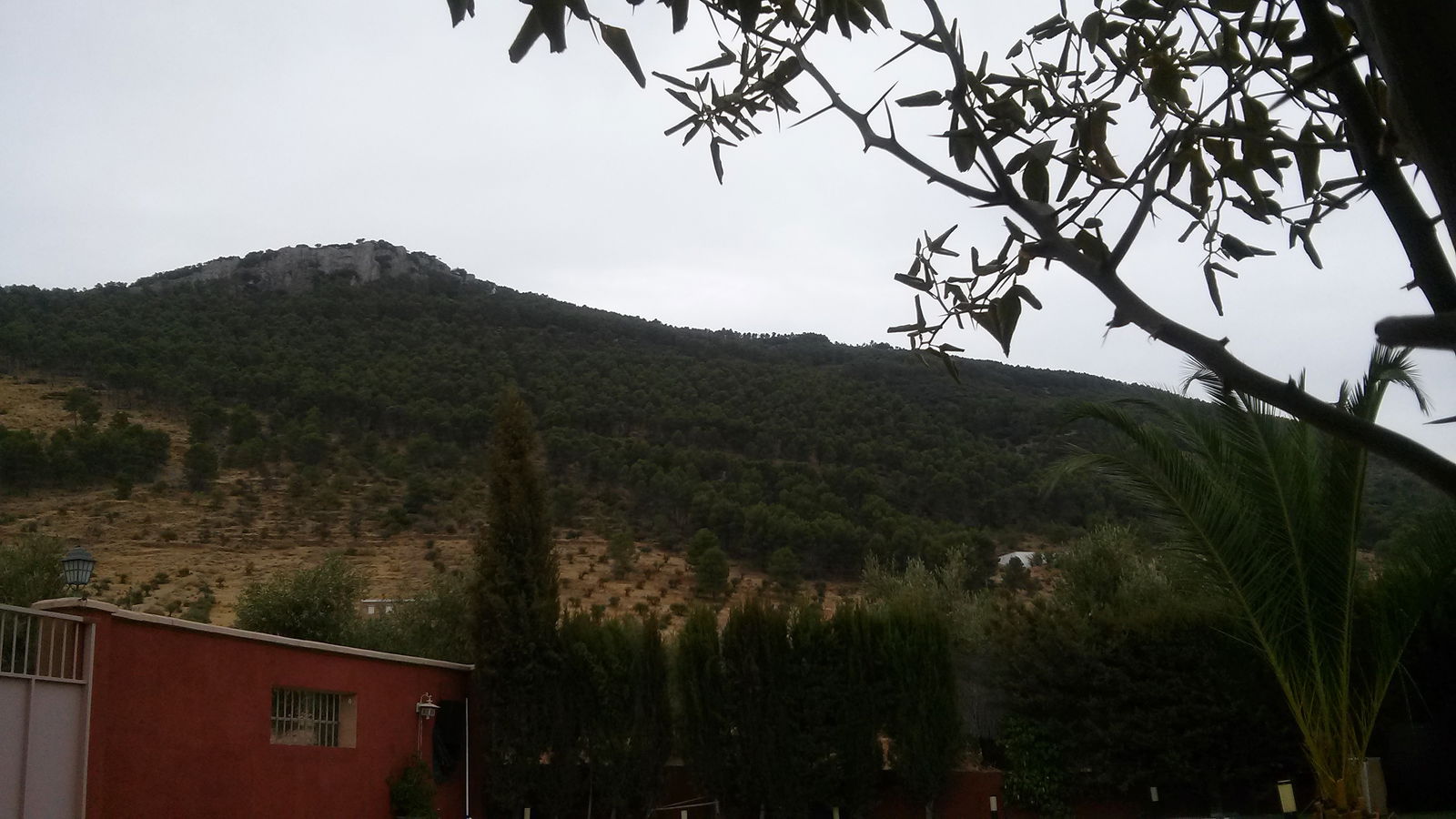 Gastfamilie Mancha Real 113199