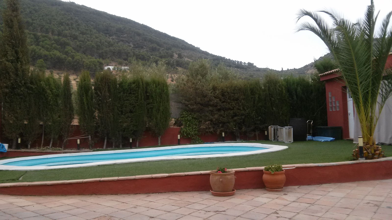 Gastfamilie Mancha Real 113199