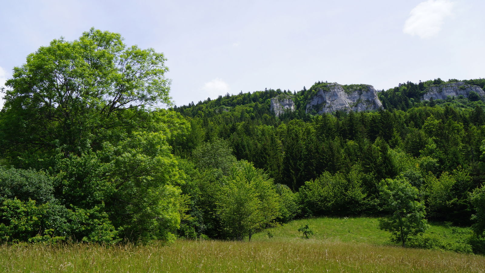 Gastfamilie Lans-en-Vercors 52289