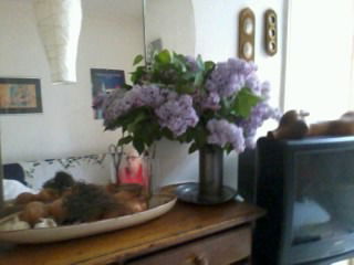 Gastfamilie Toulouse 120929