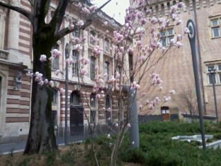 Gastfamilie Toulouse 120929