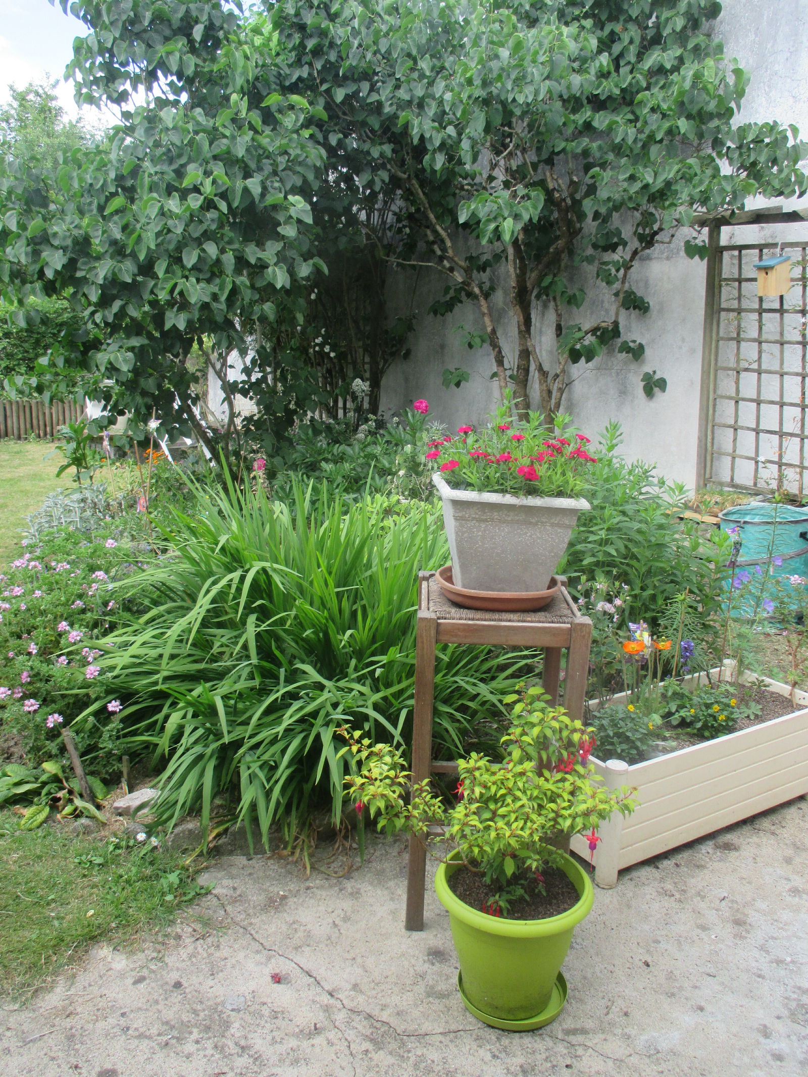 Gastfamilie Auray 141666