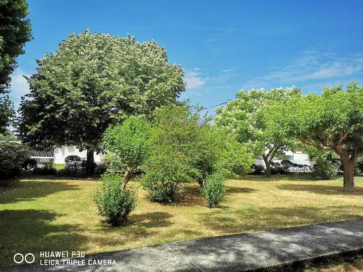 Gastfamilie Bordeaux 304281