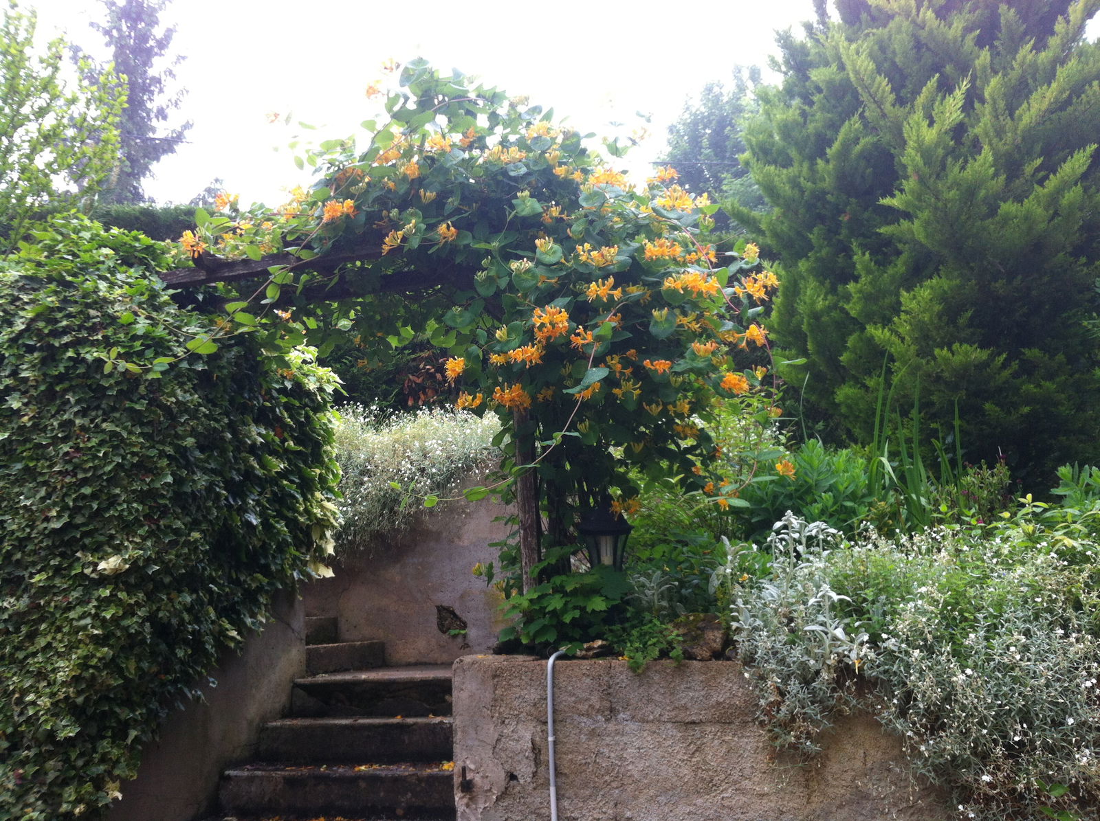 Gastfamilie Le Gué-de-Longroi 329263