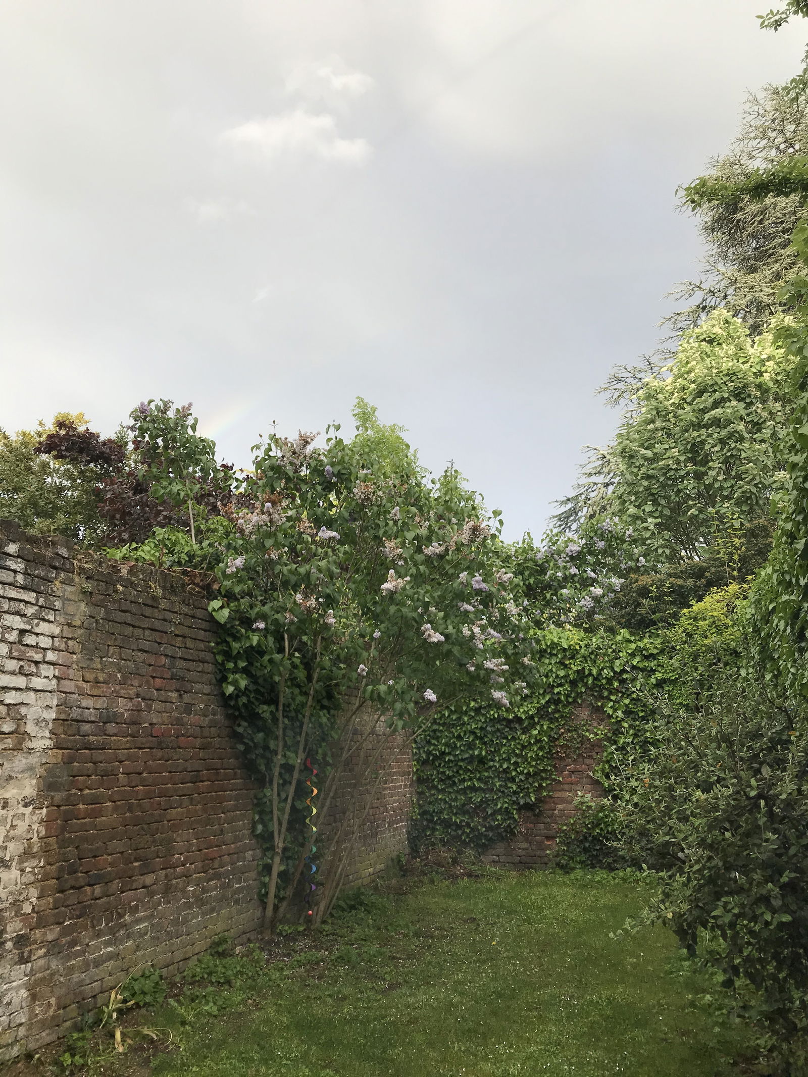 Gastfamilie Amiens 242446