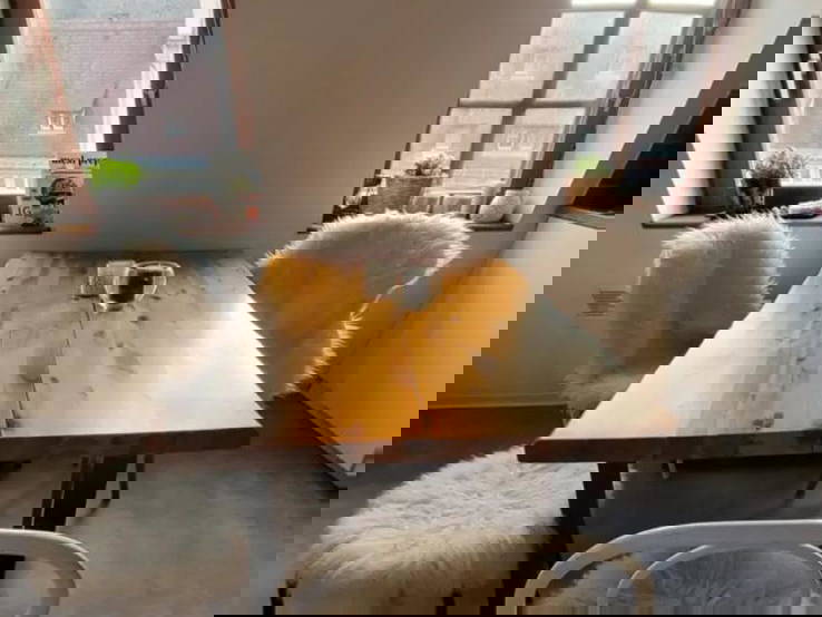 Gästezimmer Strasbourg 631384-1