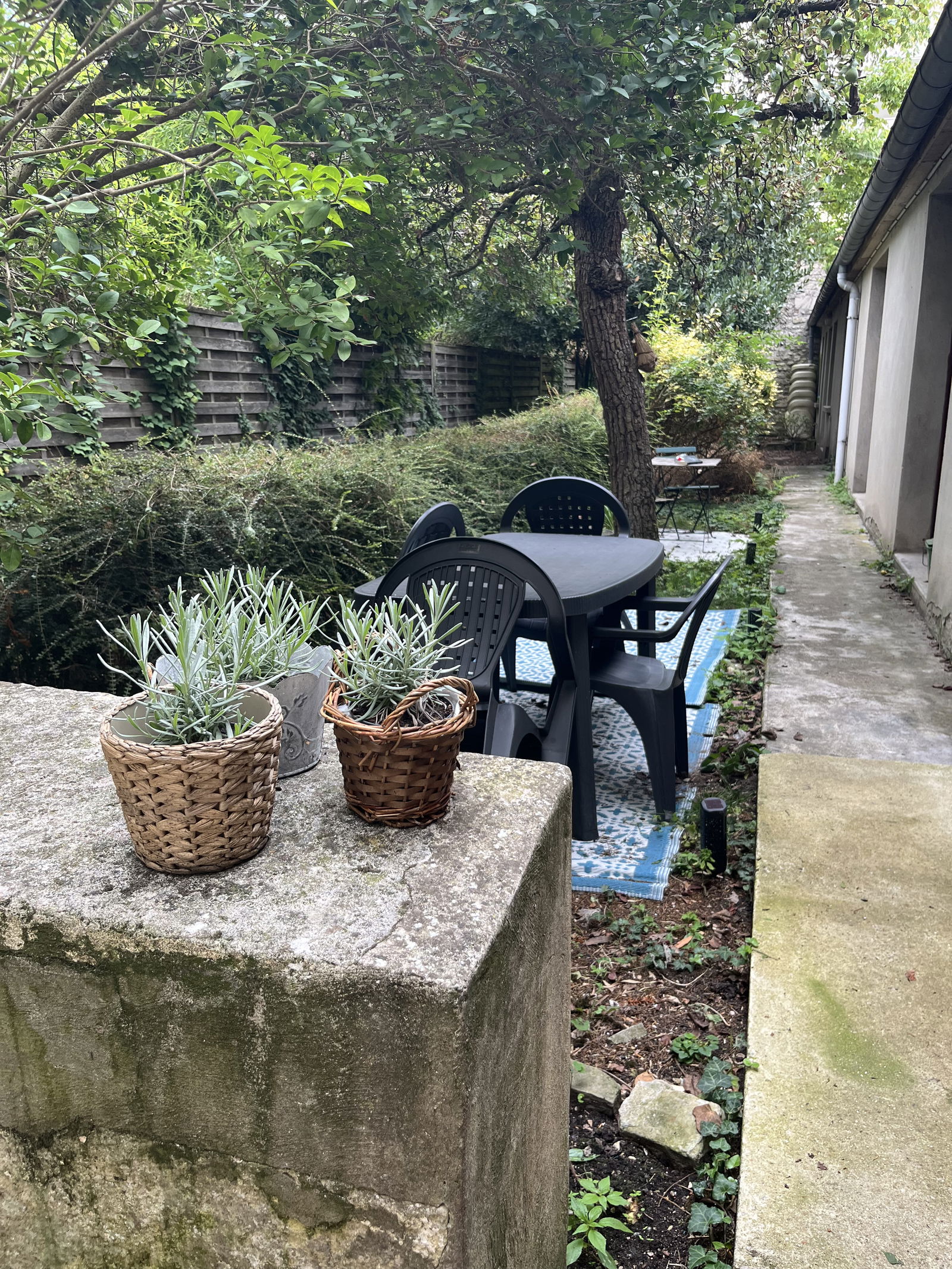 Gastfamilie Saint-Germain-en-Laye 572723