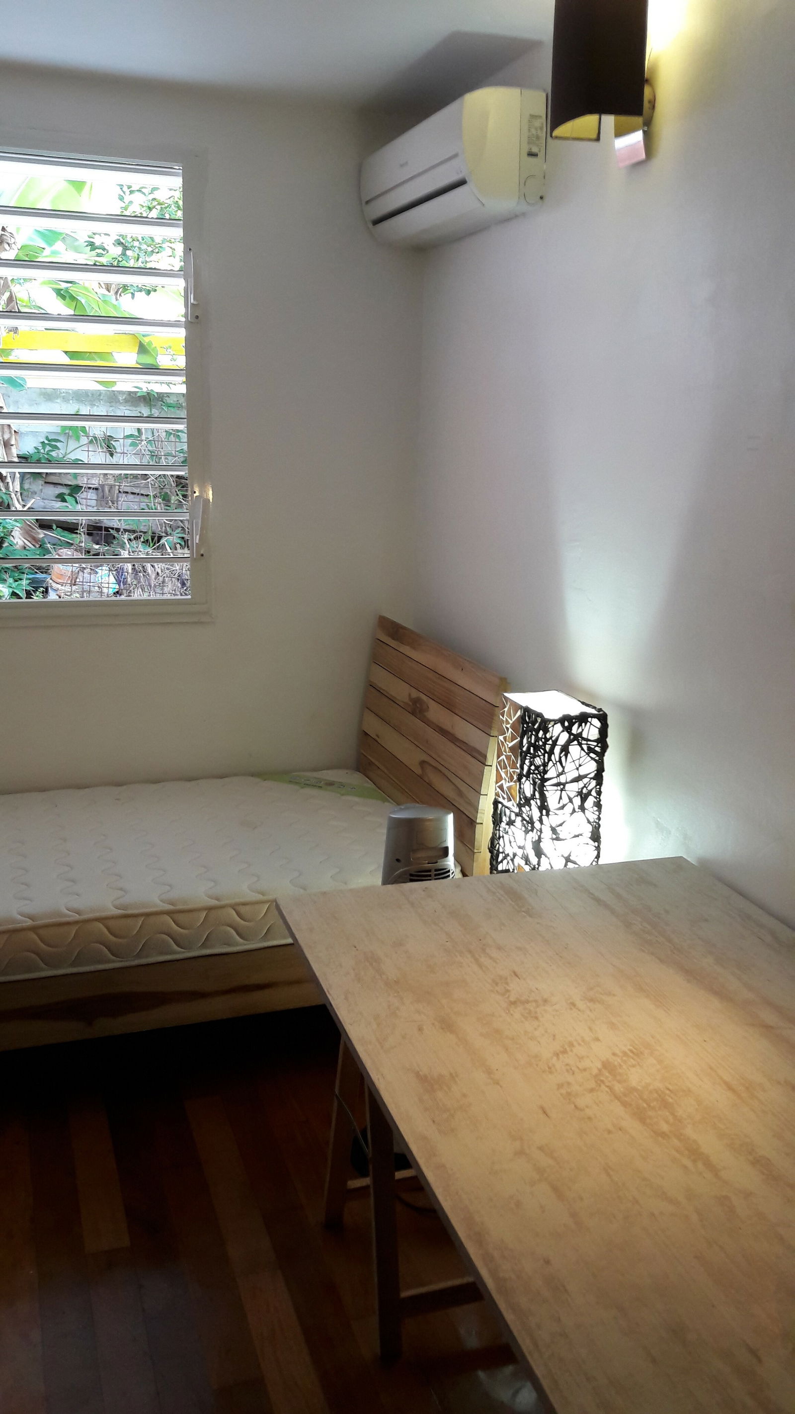 Kolokation Le Gosier 198901