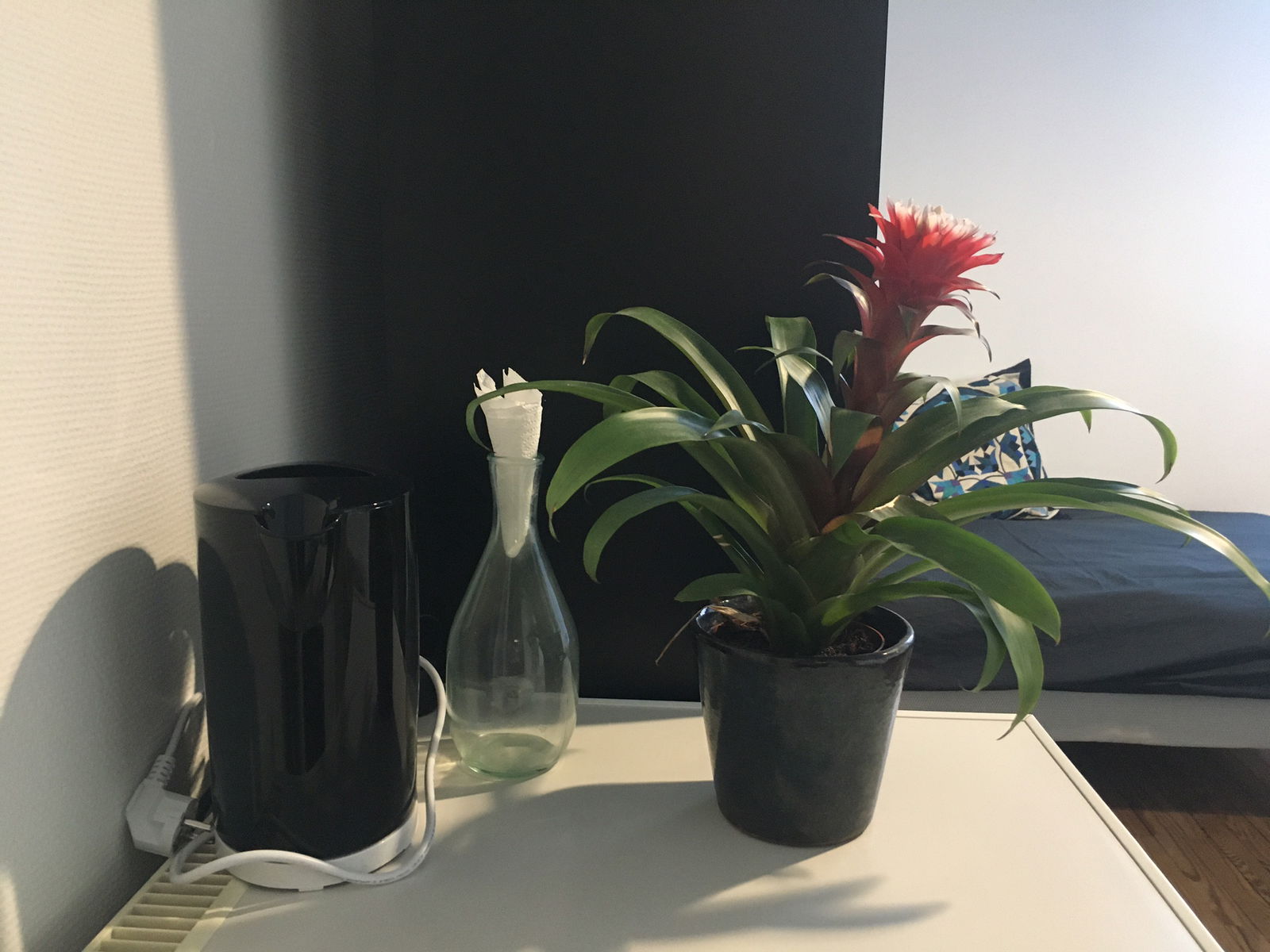 Gastfamilie Annecy 652491