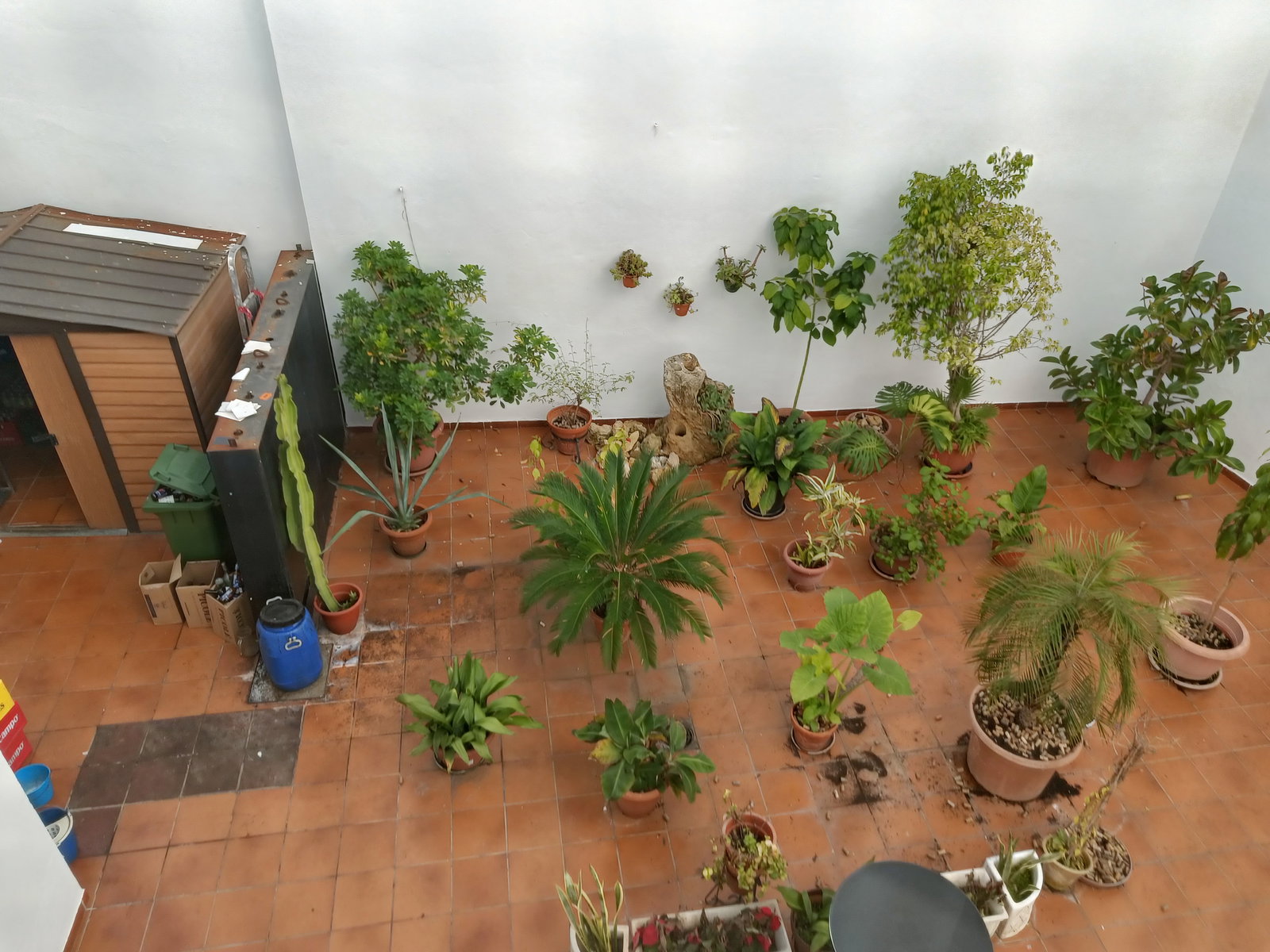 Gastfamilie Sevilla 662148