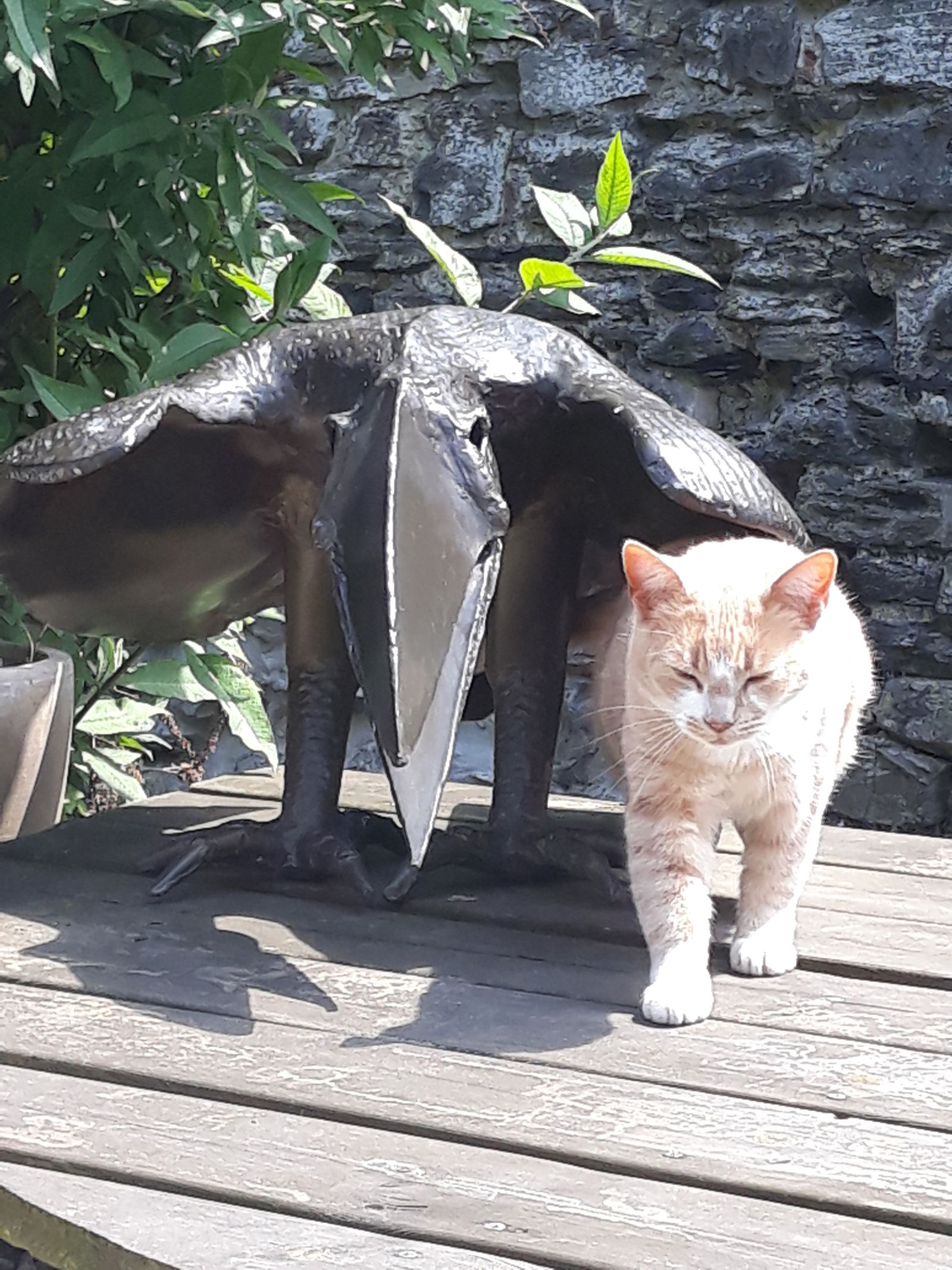 Gastfamilie Tournai 218728