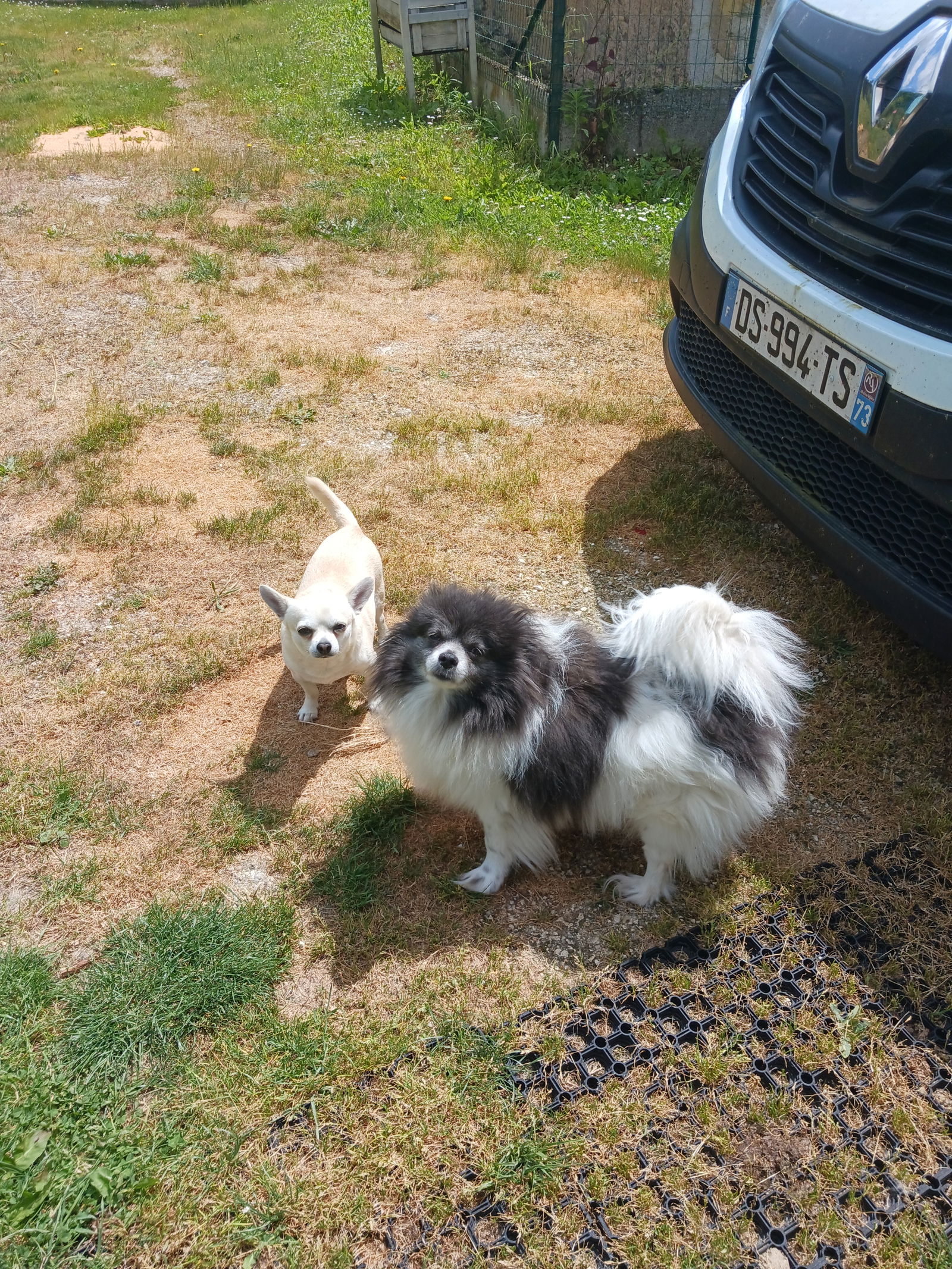 Gastfamilie Villedômain 533600