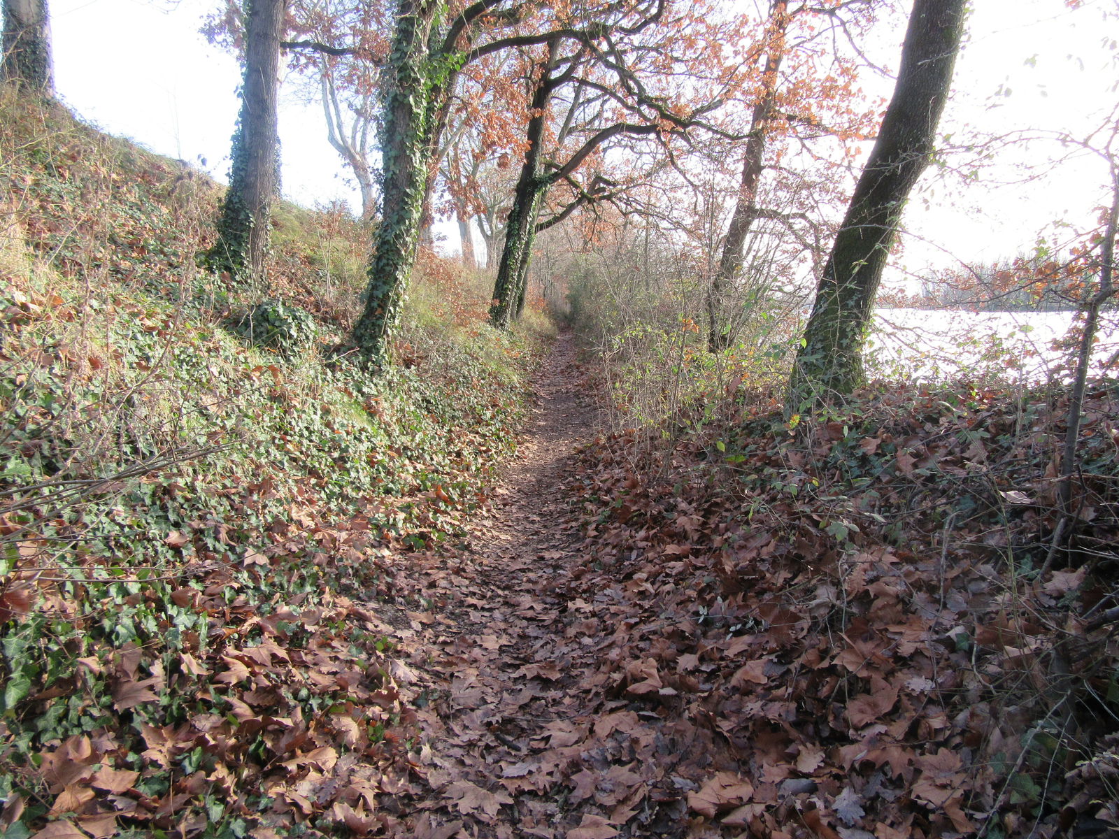 Gästezimmer Lespinasse 191735