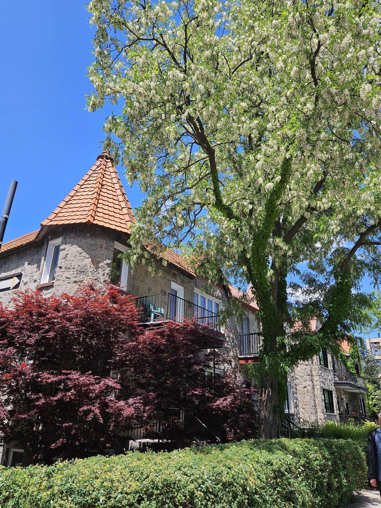 Gastfamilie Montréal 75353