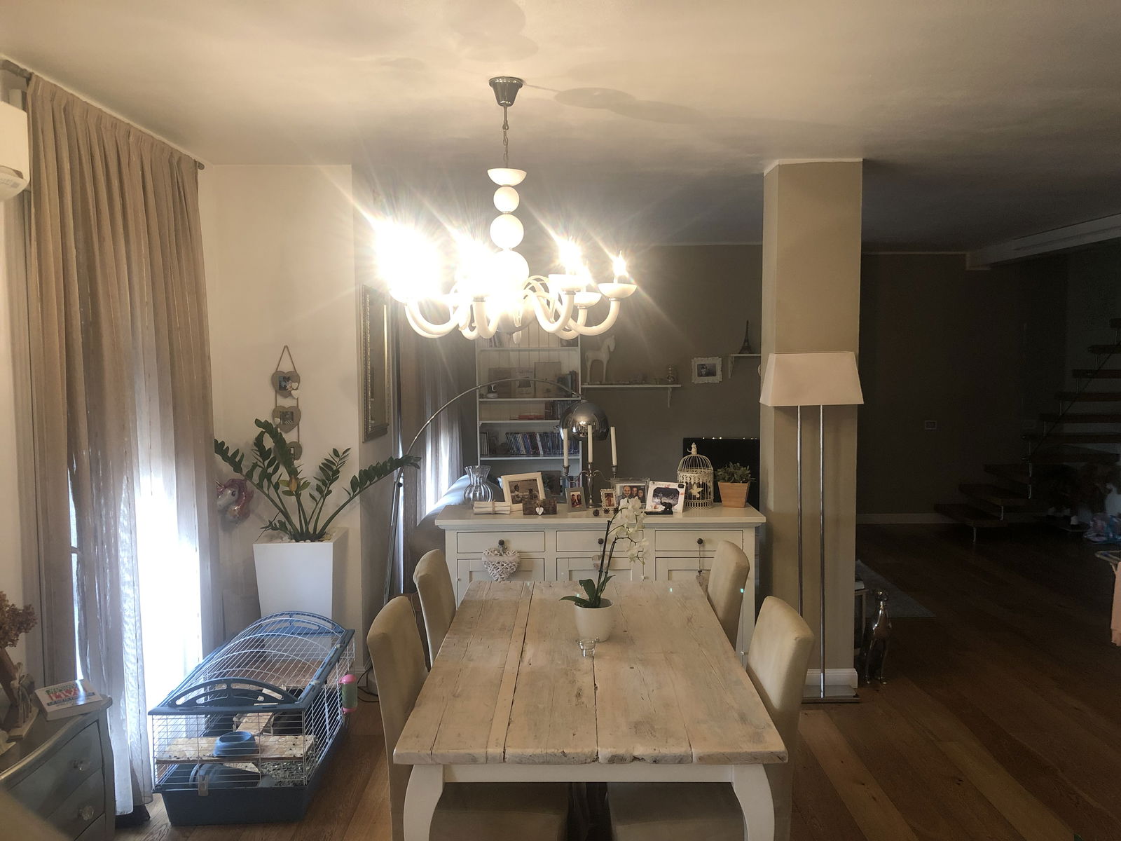 Gastfamilie Mira 638006