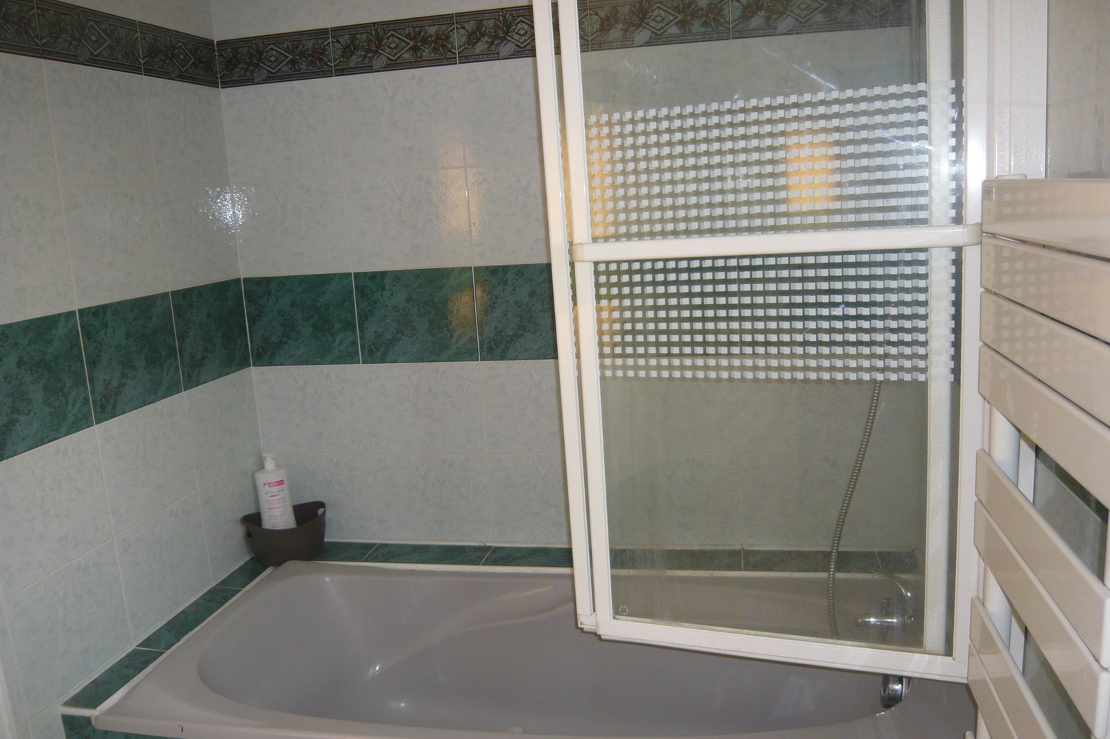 Gastfamilie Saint-Sébastien-sur-Loire 73151