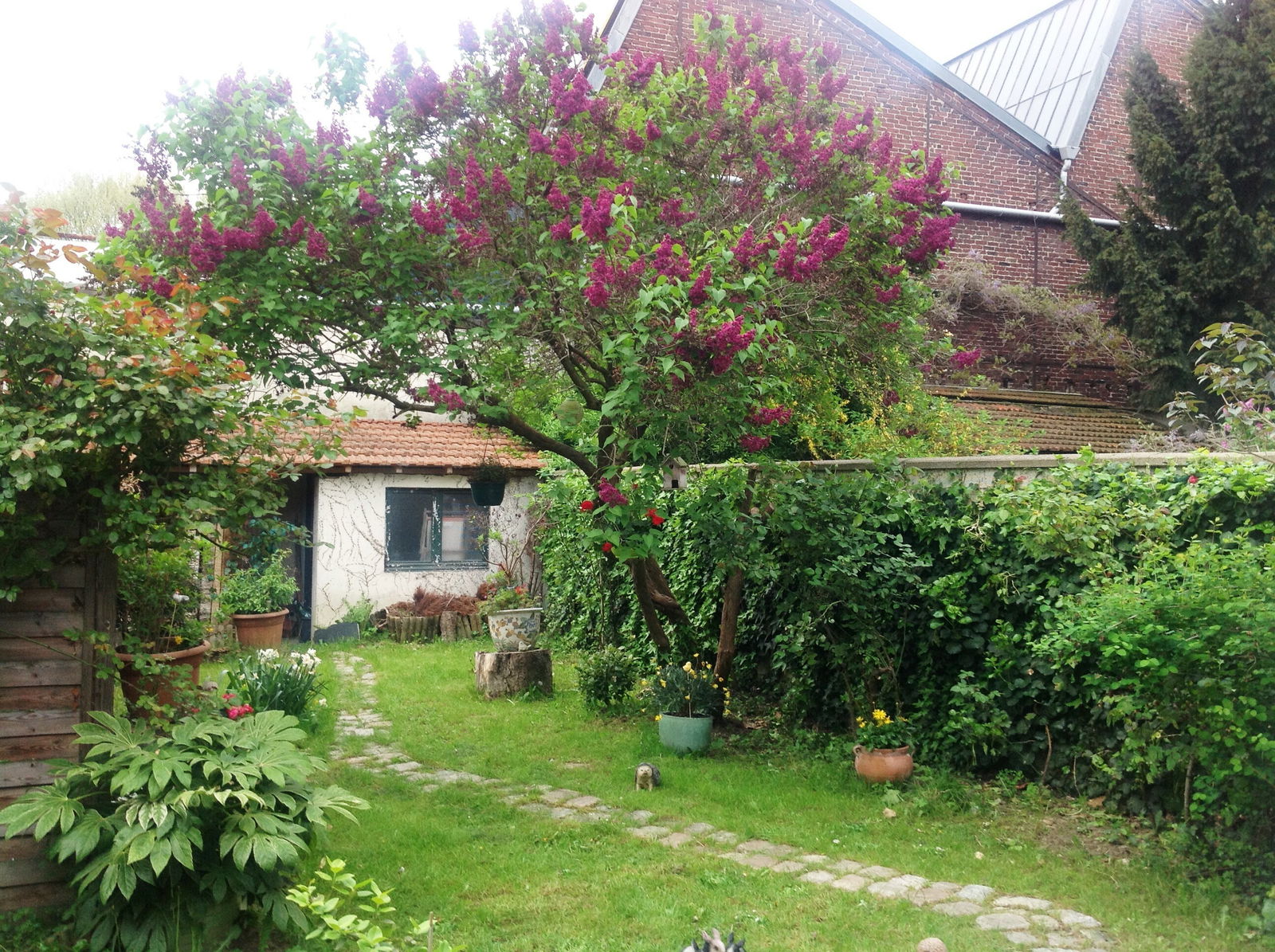 Gastfamilie Ivry-sur-Seine 217897