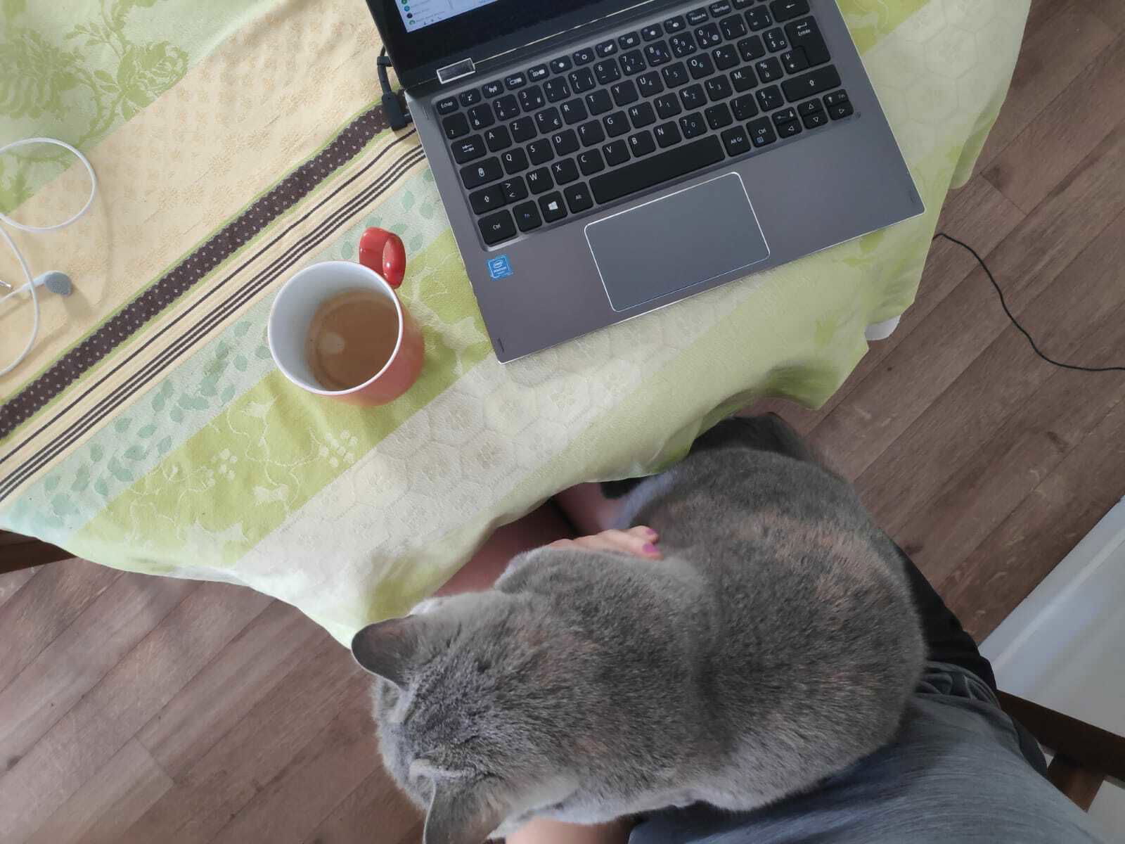 Gastfamilie Clamart 236249