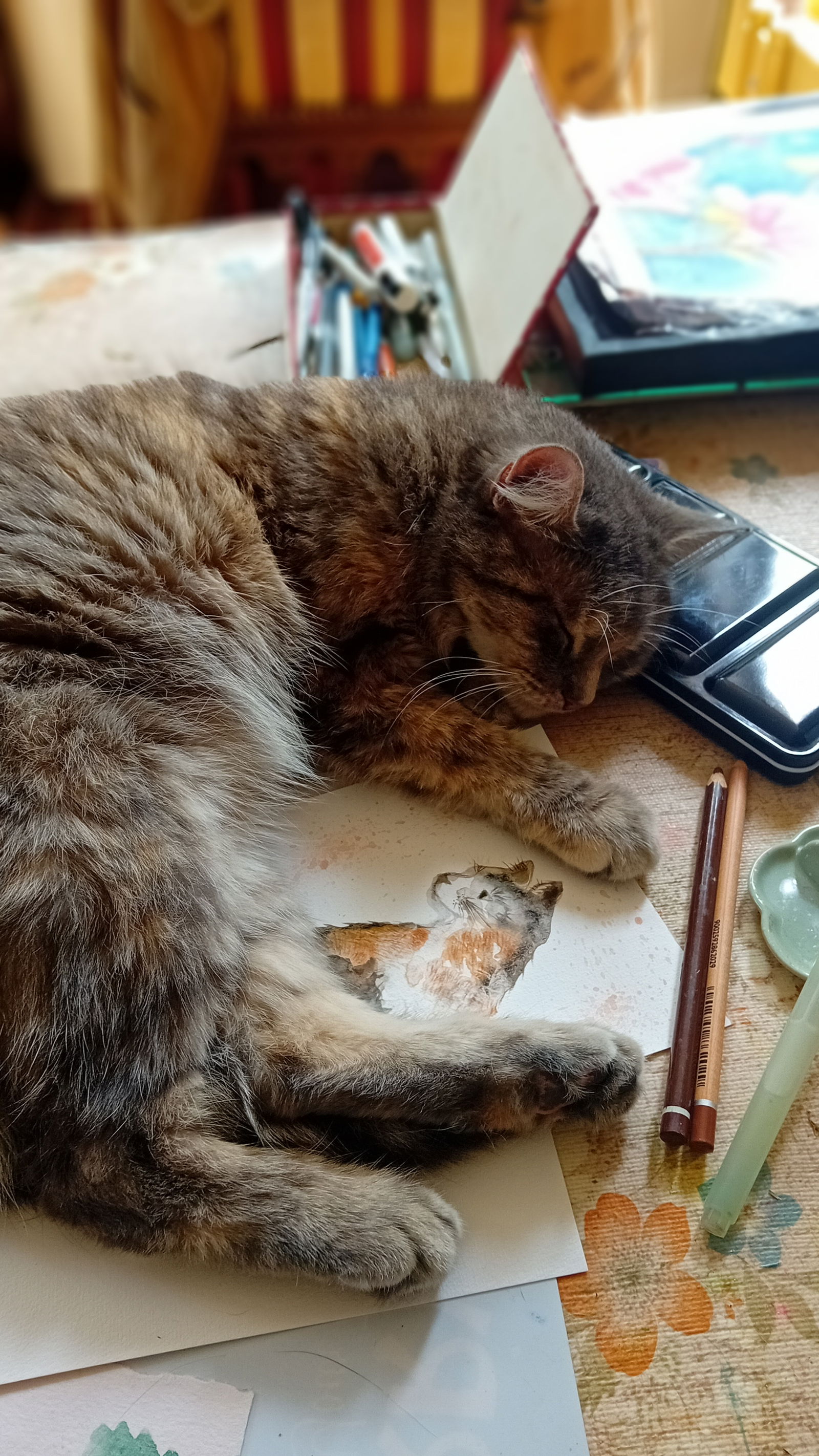 Gastfamilie Nice 584875