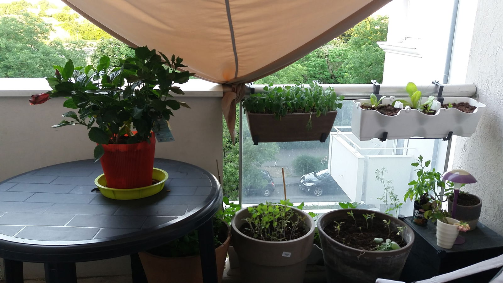 Gastfamilie Saint-Priest 174932