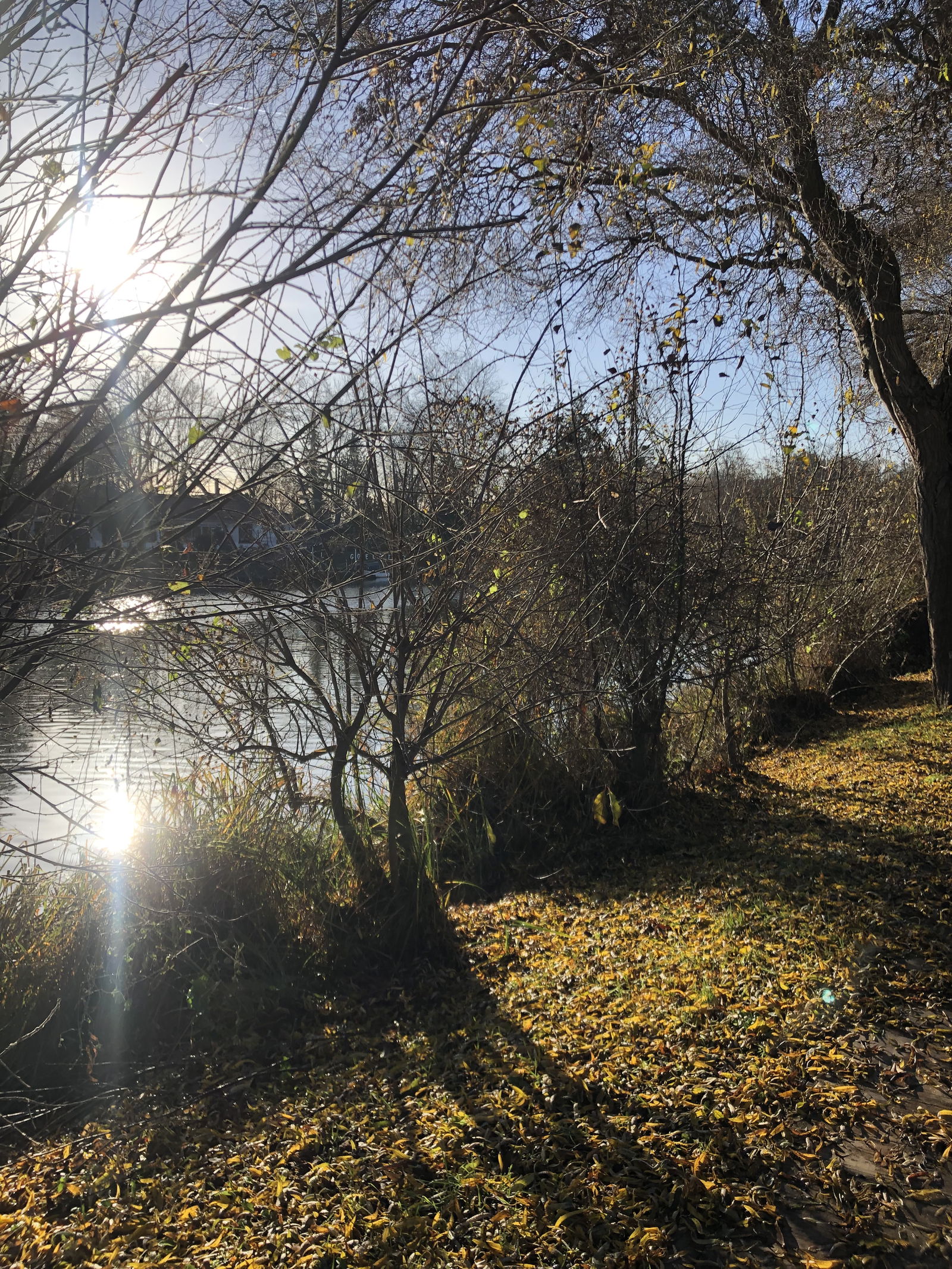 Gastfamilie Andrésy 275324