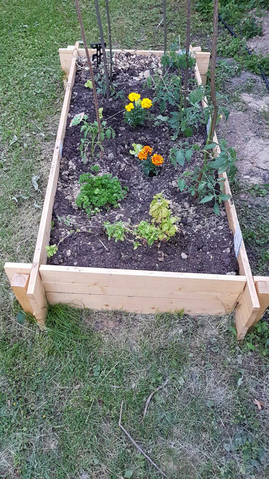 Zusammenleben Vernier 259928