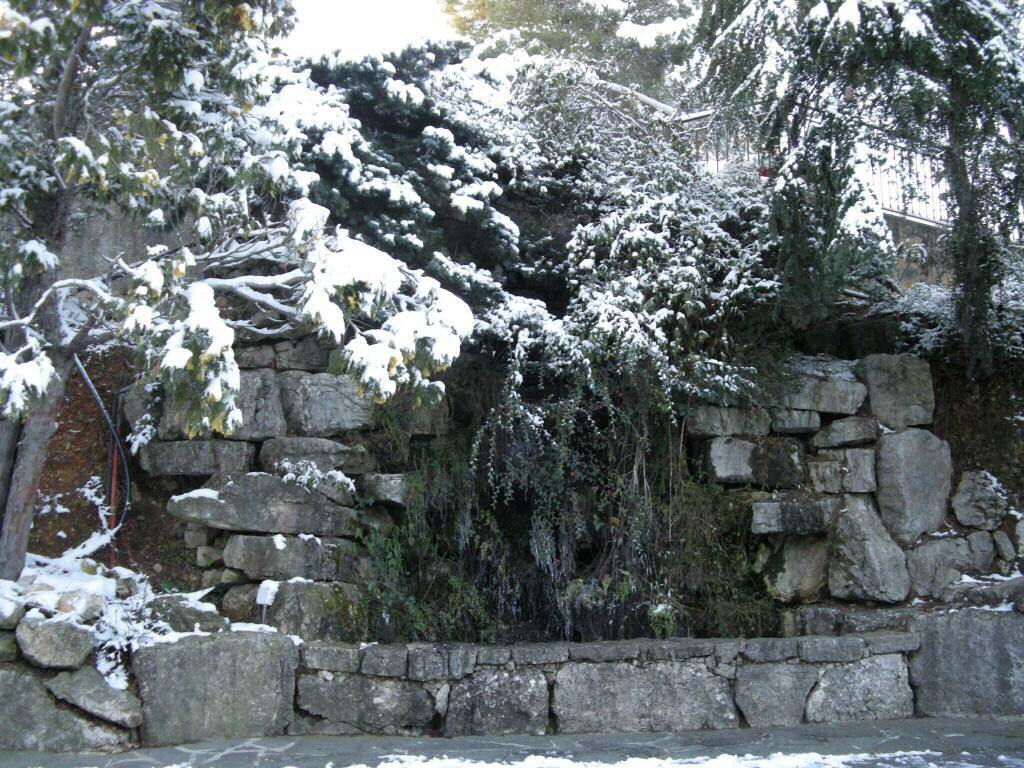 Gastfamilie Mougins 123500