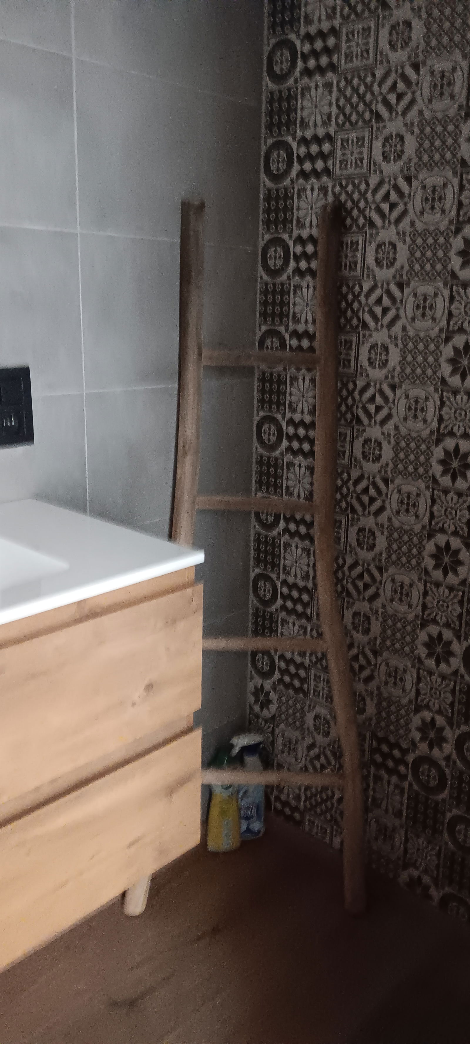 Kolokation Mons 636599