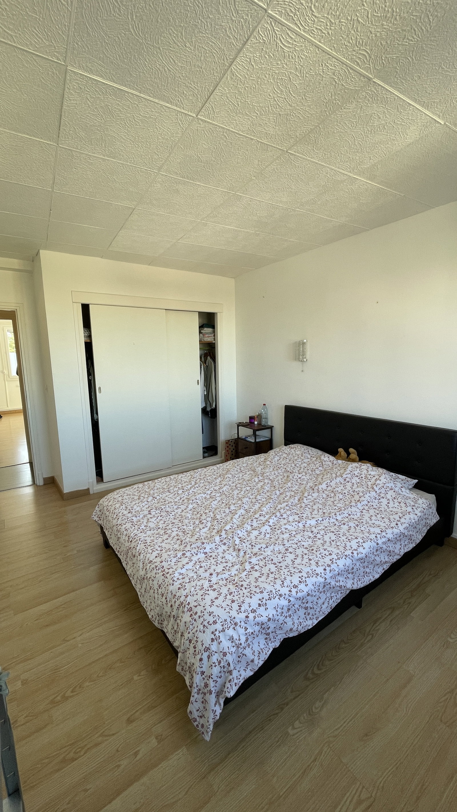 Kolokation Montpellier 656058