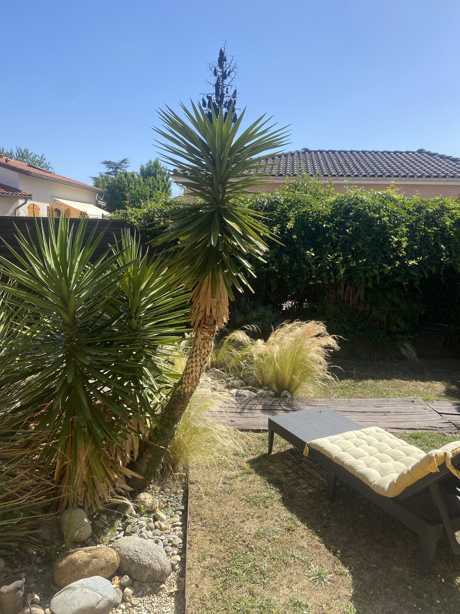 Wohngemeinschaft Toulouse 668254