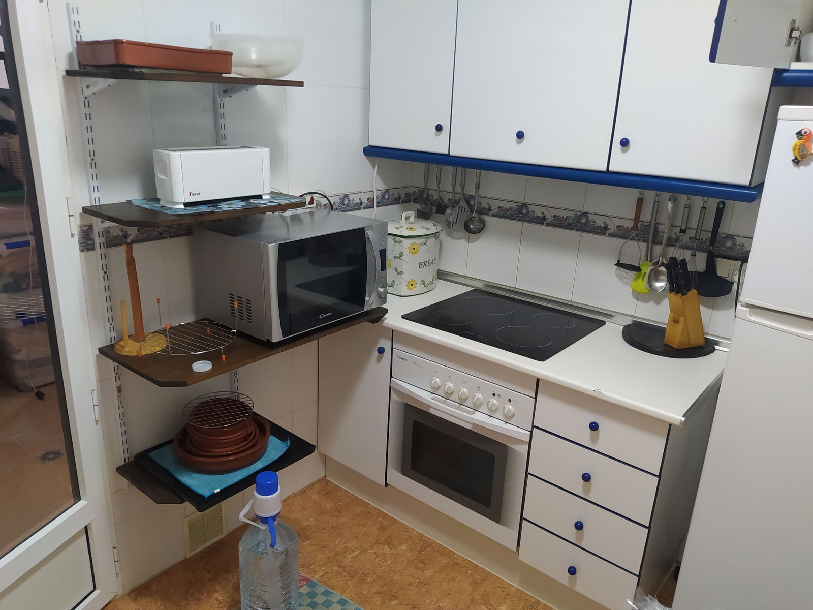 Gastfamilie Alicante 265063