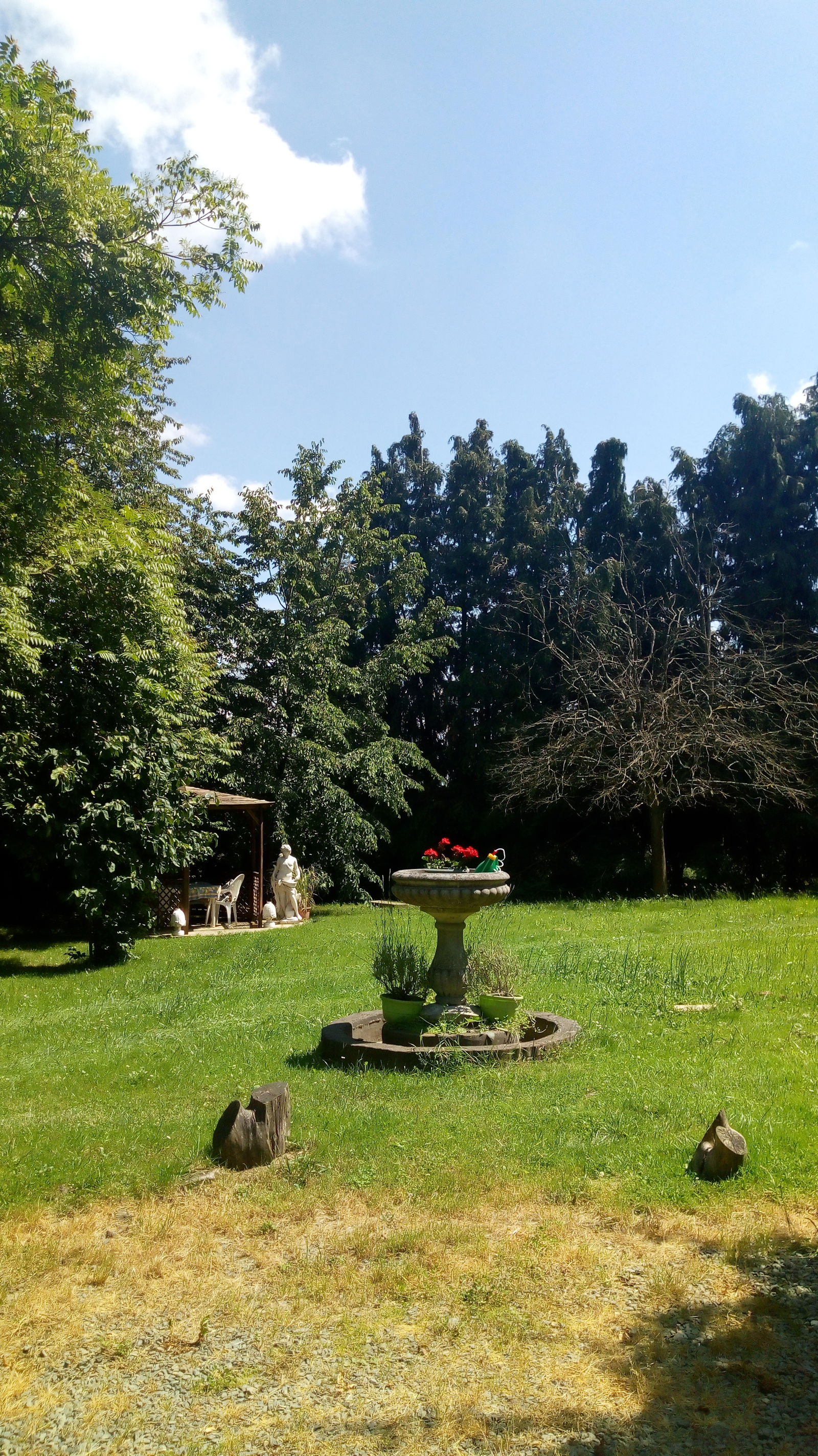 Gastfamilie Saint-Lô 66174