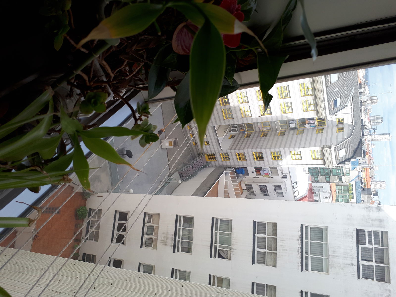 Kolokation A Coruña 106198