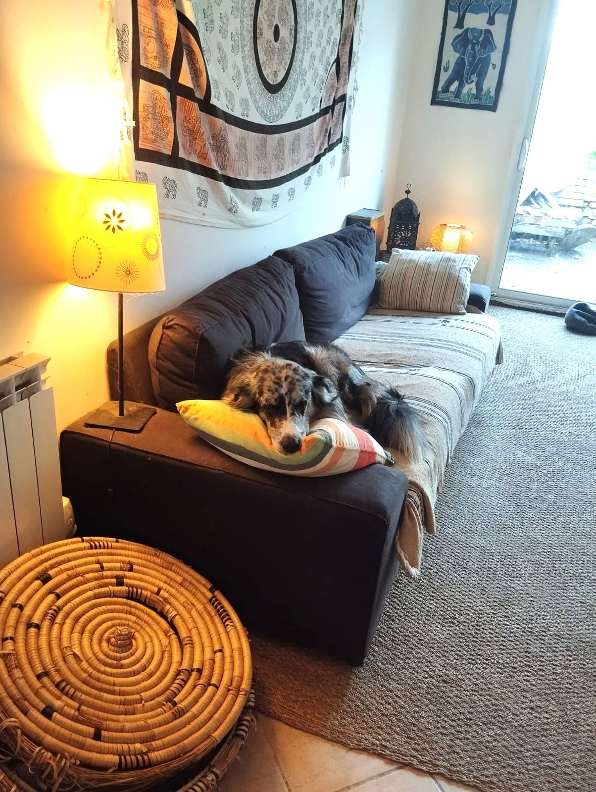 Gastfamilie Saint-Germain-sur-Ille 656921