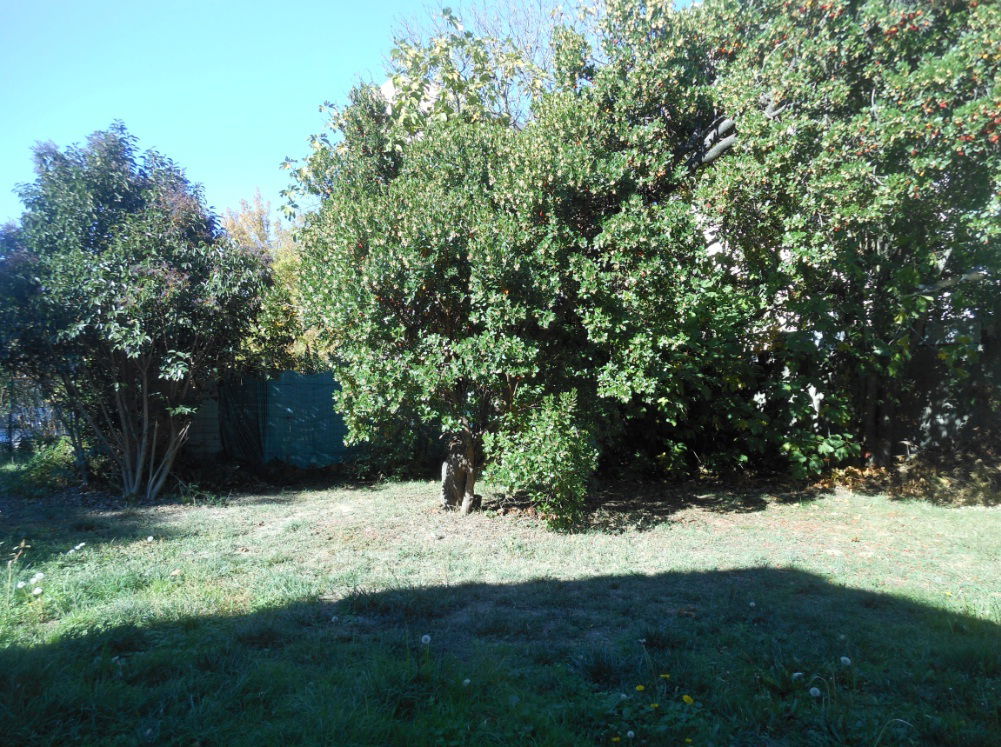 Gastfamilie Toulouse 242186